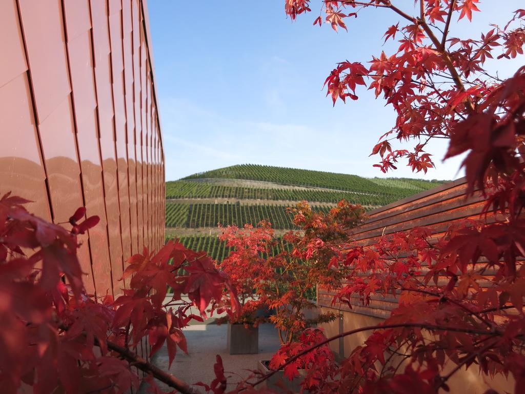 Gut Hermannsberg, Gaestehaus Niederhausen Екстериор снимка