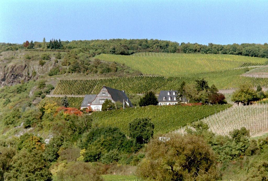 Gut Hermannsberg, Gaestehaus Niederhausen Екстериор снимка